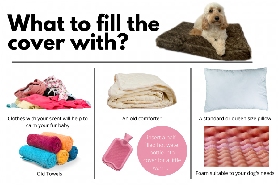 Items to place on your Millie Mats cover so your dog won't have separation anxiety