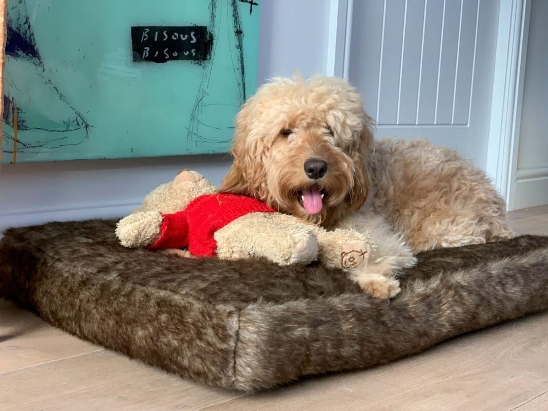 Millie mats Brown Bear Dog bed