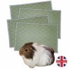 Millie Mats Guines Pig Xtra Small Pad Liner